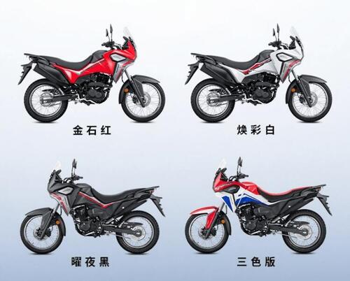 Honda CRF190L, una piccola Africa Twin (7)