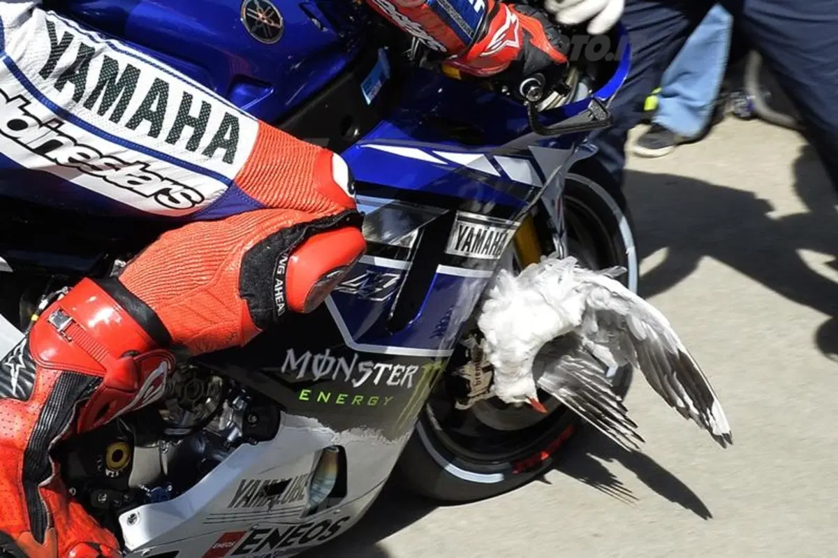 MotoGP. Le foto più emozionanti del GP d'Australia (25)