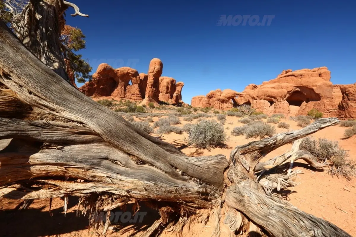 Viaggi. Planet Explorer 3, USA National Park (16)
