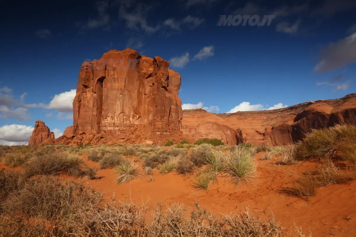 Viaggi. Planet Explorer 3, USA National Park (37)