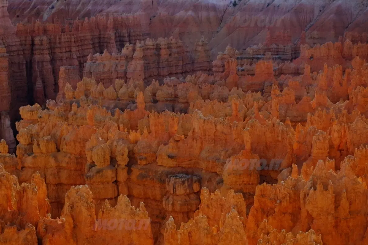 Viaggi. Planet Explorer 3, USA National Park (69)