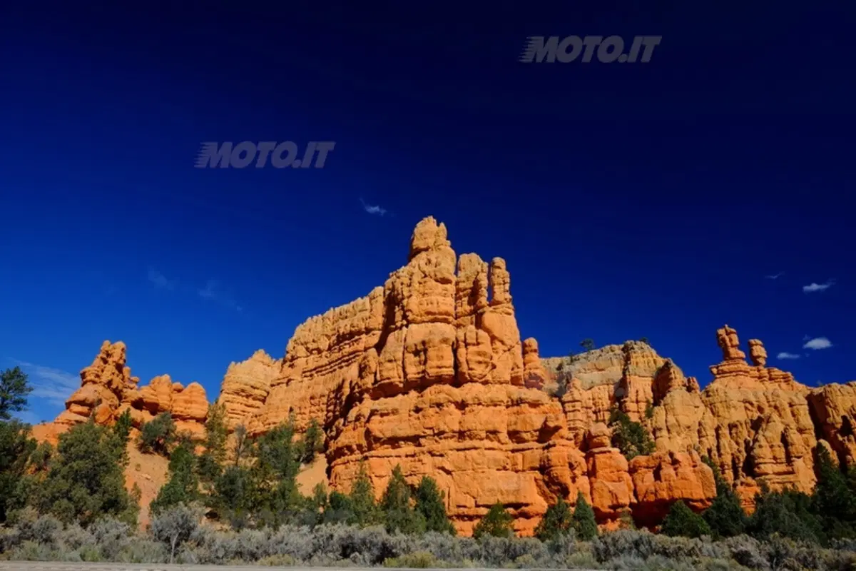 Viaggi. Planet Explorer 3, USA National Park (71)