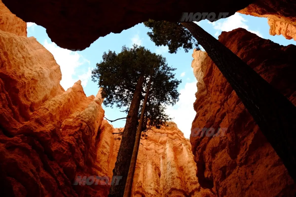Viaggi. Planet Explorer 3, USA National Park (72)