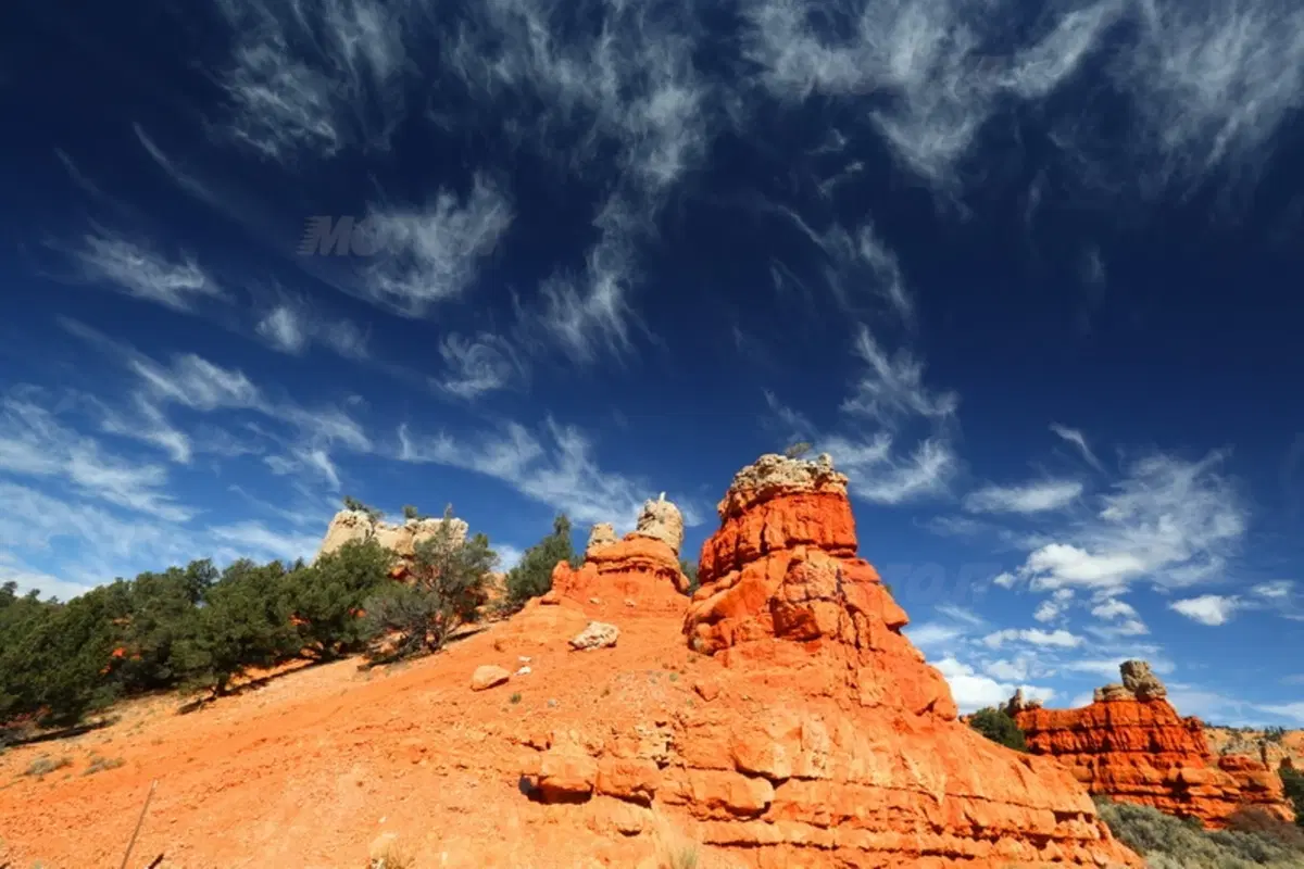 Viaggi. Planet Explorer 3, USA National Park (78)