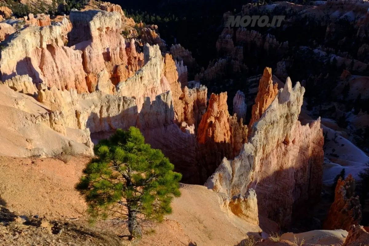Viaggi. Planet Explorer 3, USA National Park (86)