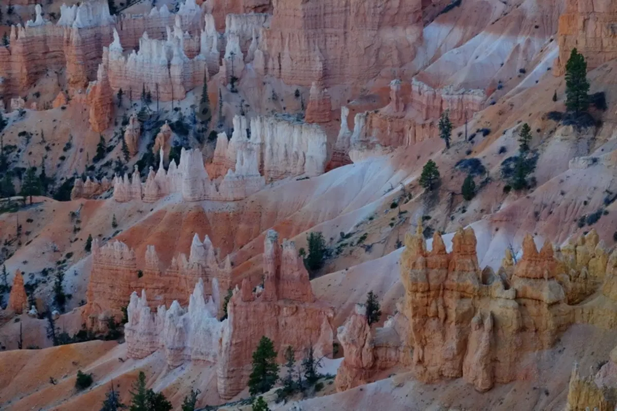 Viaggi. Planet Explorer 3, USA National Park (87)