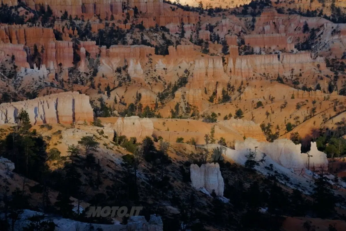 Viaggi. Planet Explorer 3, USA National Park (88)