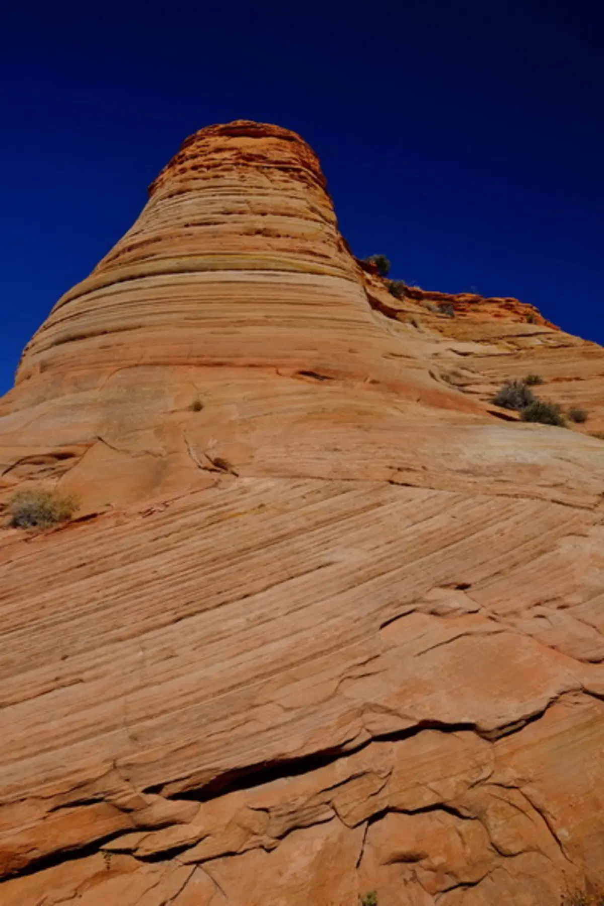 Viaggi. Planet Explorer 3, USA National Park (91)
