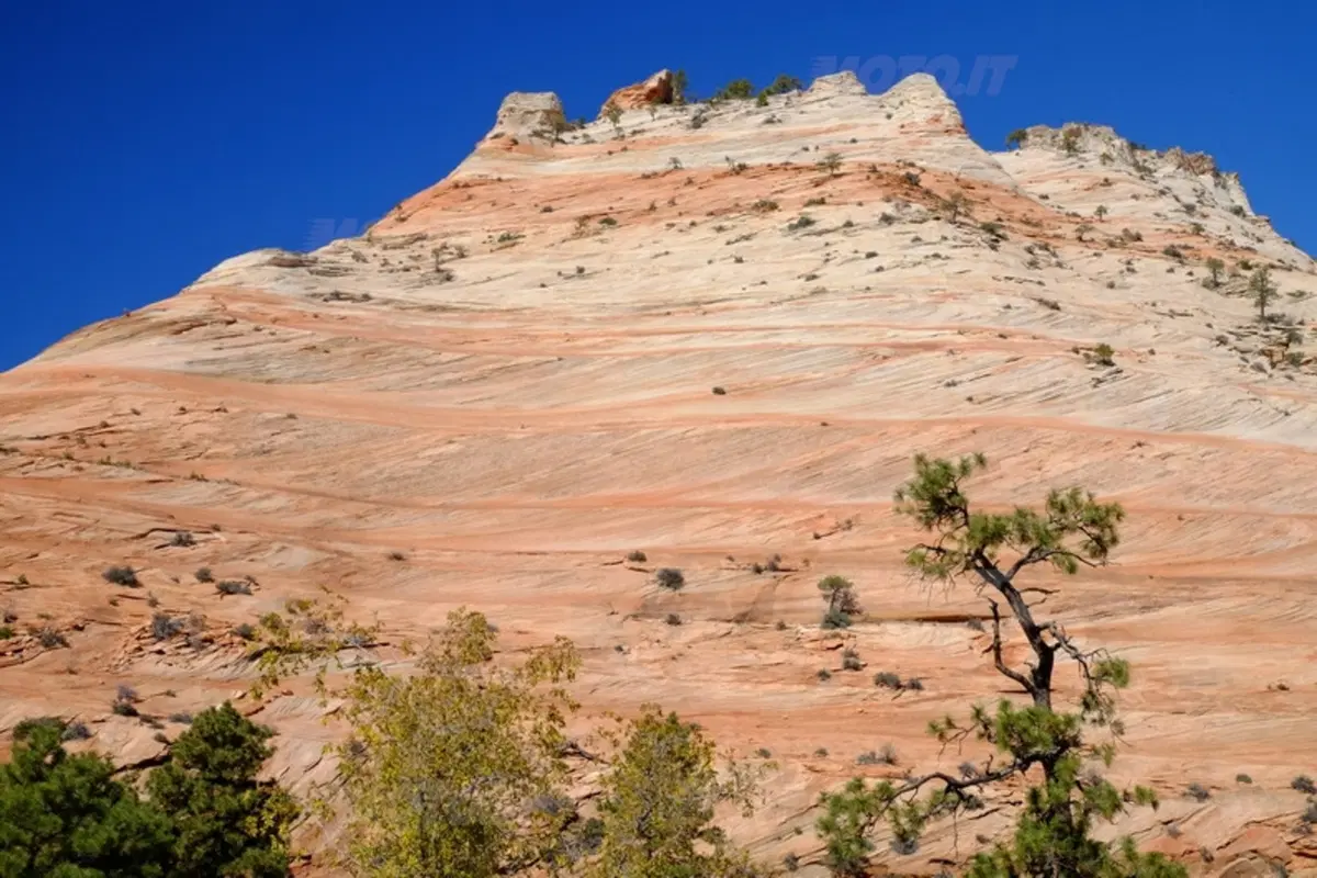 Viaggi. Planet Explorer 3, USA National Park (94)