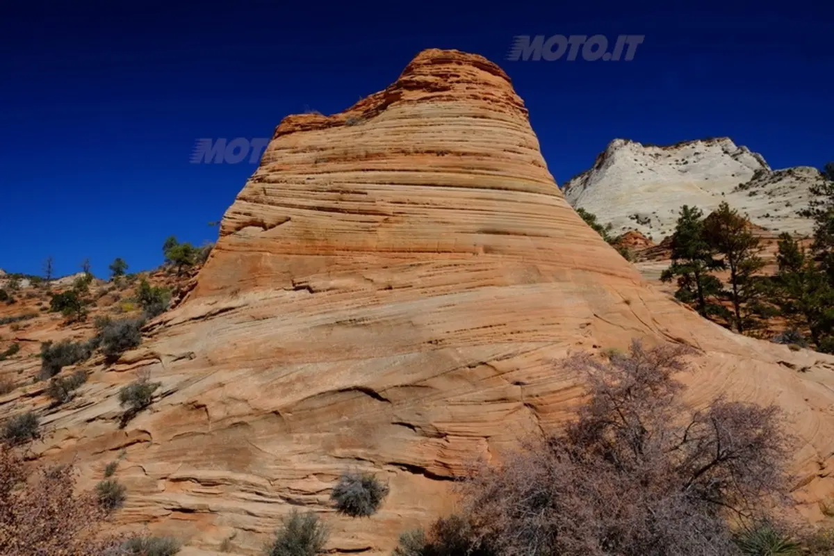 Viaggi. Planet Explorer 3, USA National Park (95)