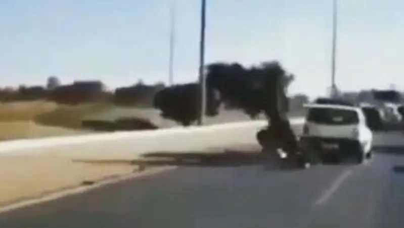 Epic fail: ecco il motociclista pi&ugrave; sfortunato e impacciato di sempre [VIDEO VIRALE]