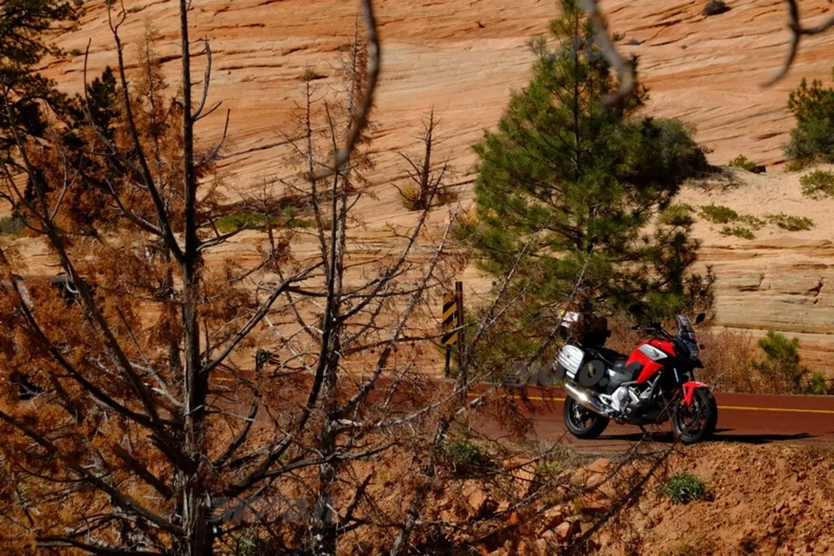 Viaggi. Planet Explorer 3, USA National Park (96)