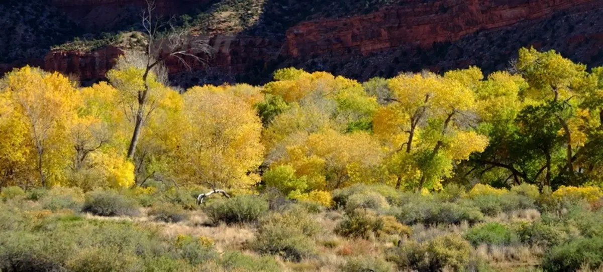 Viaggi. Planet Explorer 3, USA National Park (103)