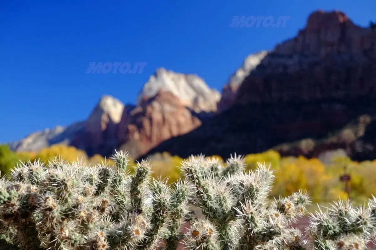Viaggi. Planet Explorer 3, USA National Park (104)