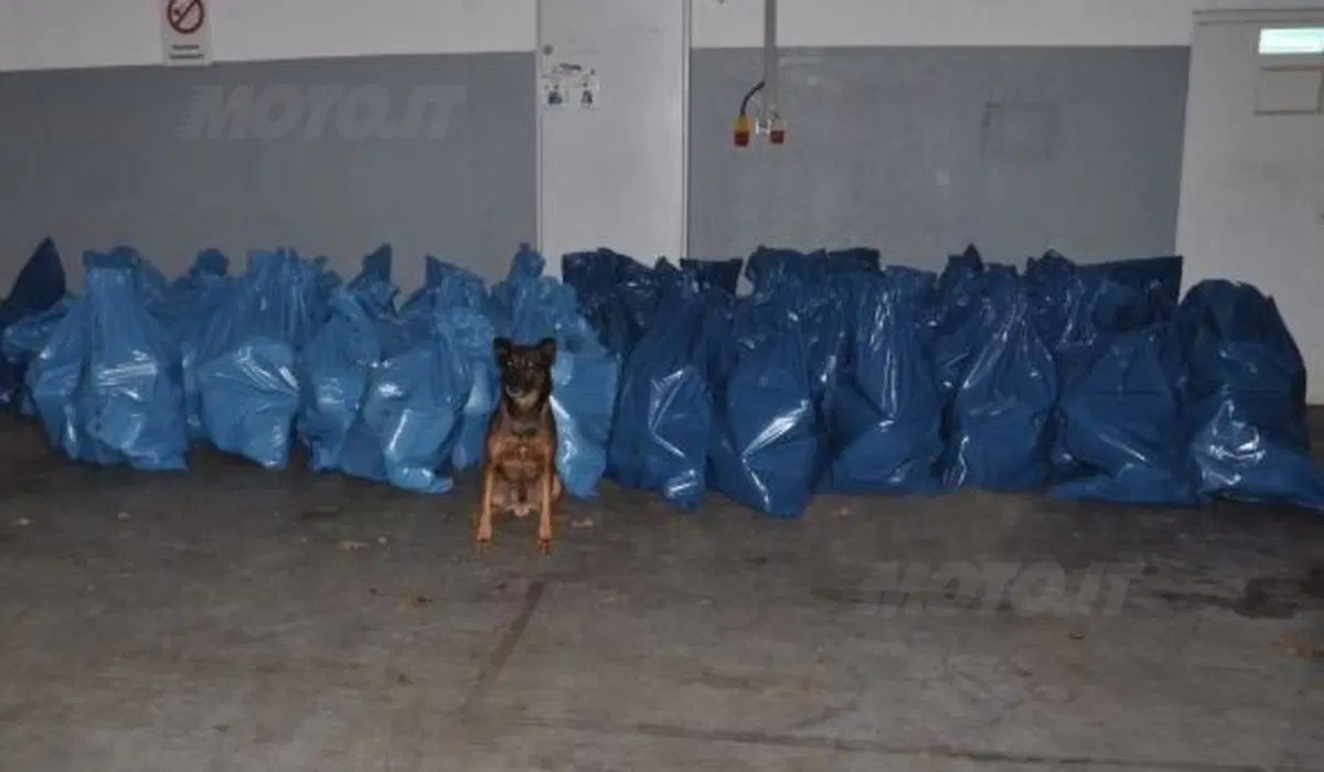 Finto Camion di Motocross trasporta 500 kg di droga. Arrestati due italiani