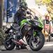 Kawasaki Ninja 650, le nuove colorazioni 2022 e la “Performance”