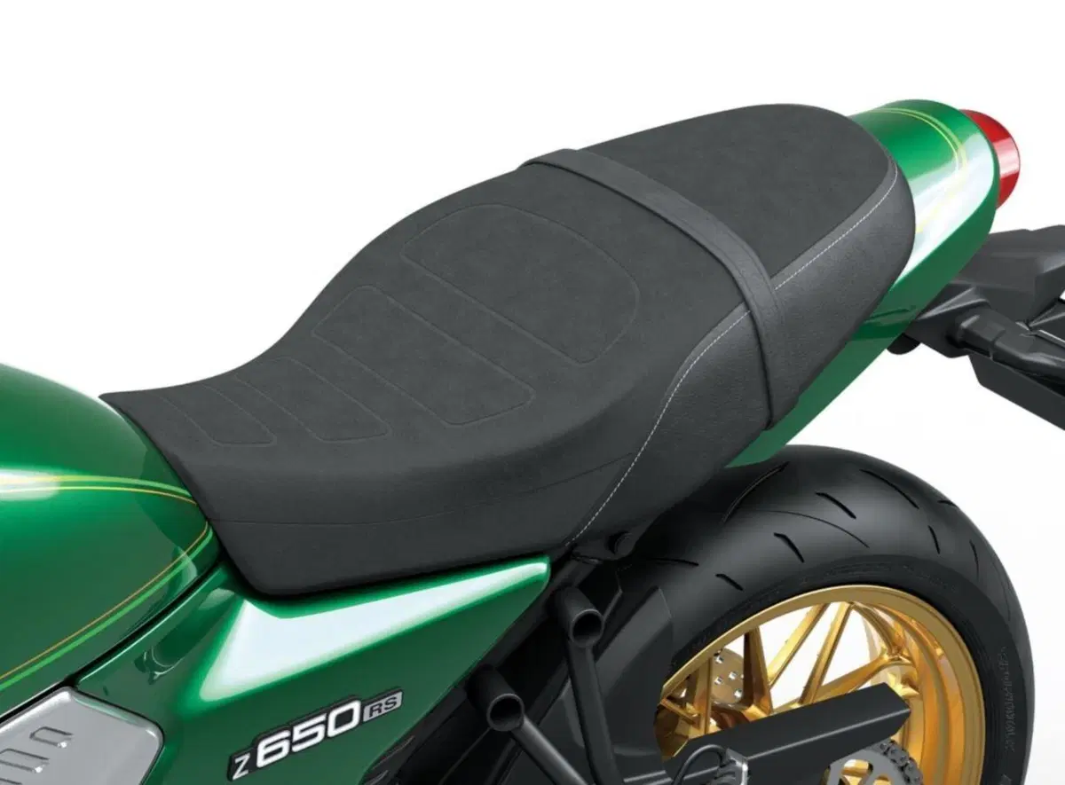 Kawasaki Z650RS 2022. Ecco la nuova classica, foto e dati (4)