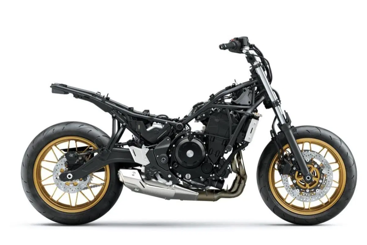 Kawasaki Z650RS 2022. Ecco la nuova classica, foto e dati (10)