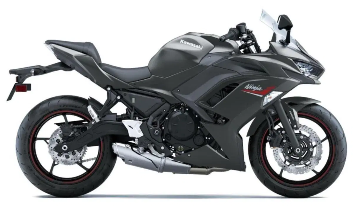 Kawasaki Ninja 650 Ninja 650 Performance (2021 - 24) (10)