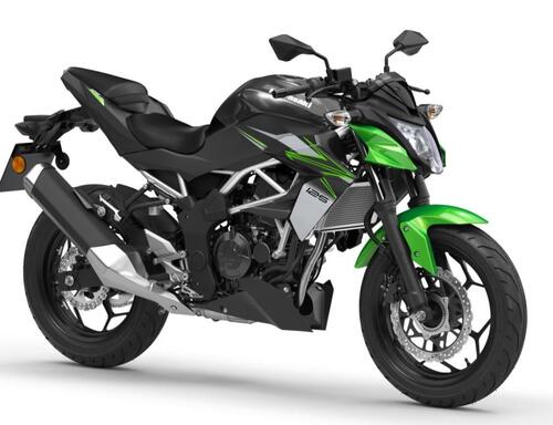 Kawasaki Z125 e Ninja 125. Aggiornamento colori 2022 (6)