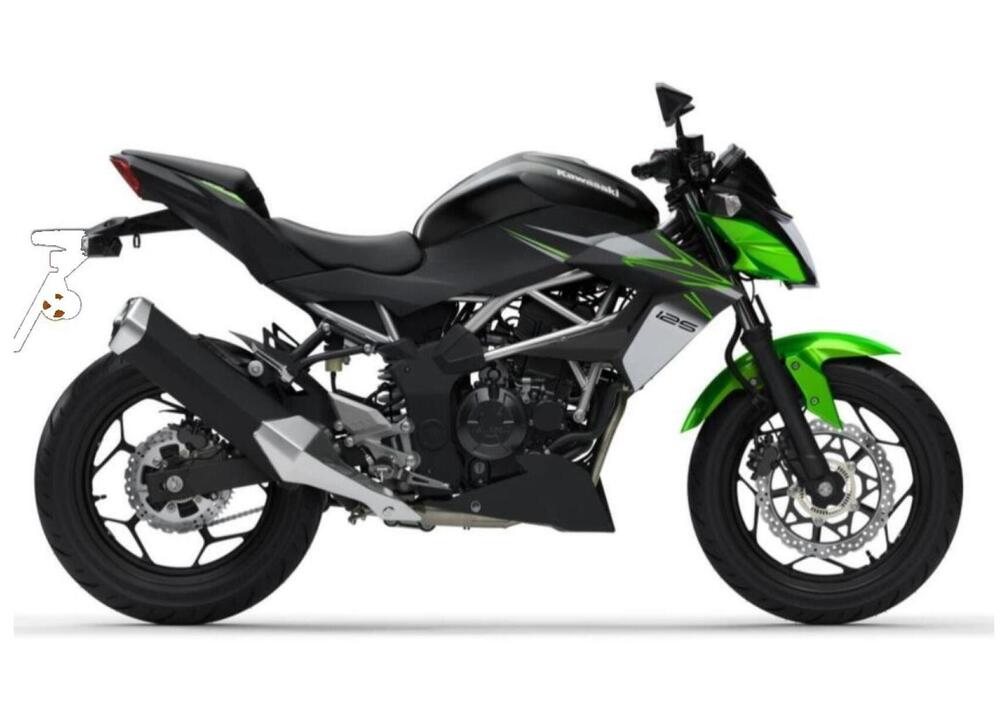 Kawasaki Z 125 (2021 - 24) (2)