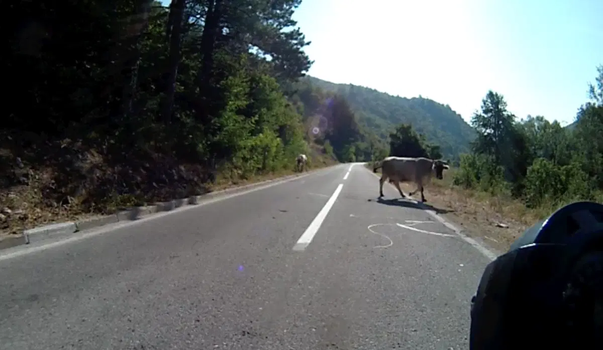 Viaggi: Balcani, da Trieste a Roma (18)