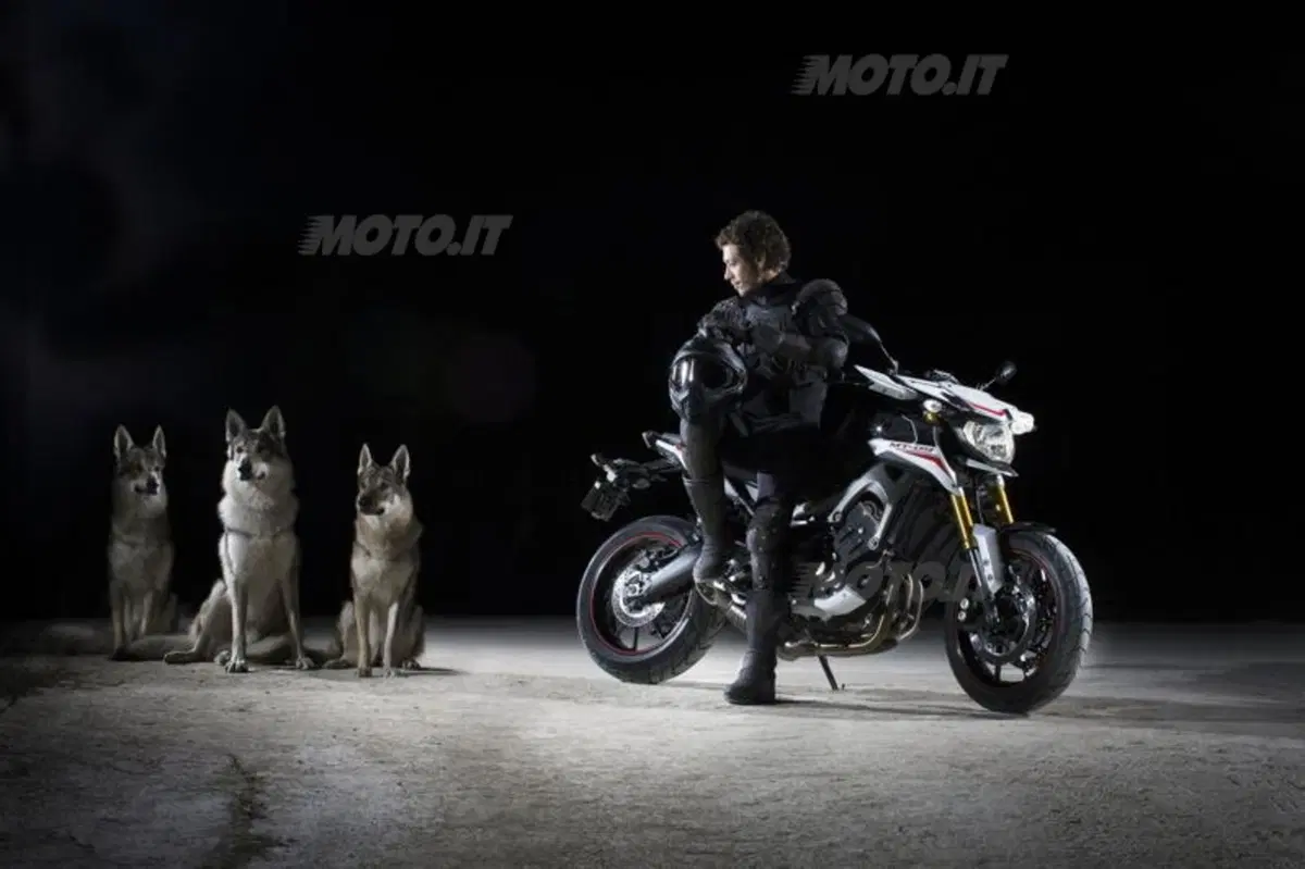 EICMA 2013: Yamaha MT-09 Street Rally (13)