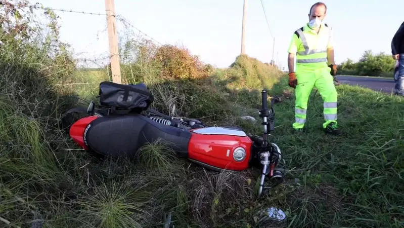 Sermide (MN): motociclista colpito da fagiano, naso e gamba fratturati