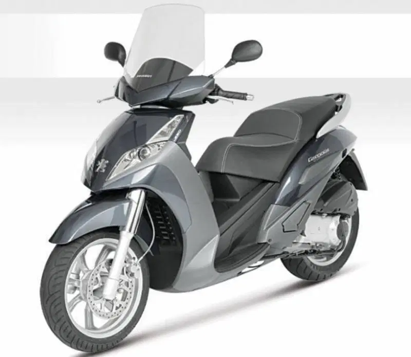 Parabretta Peugeot Geopolis 250 (2)