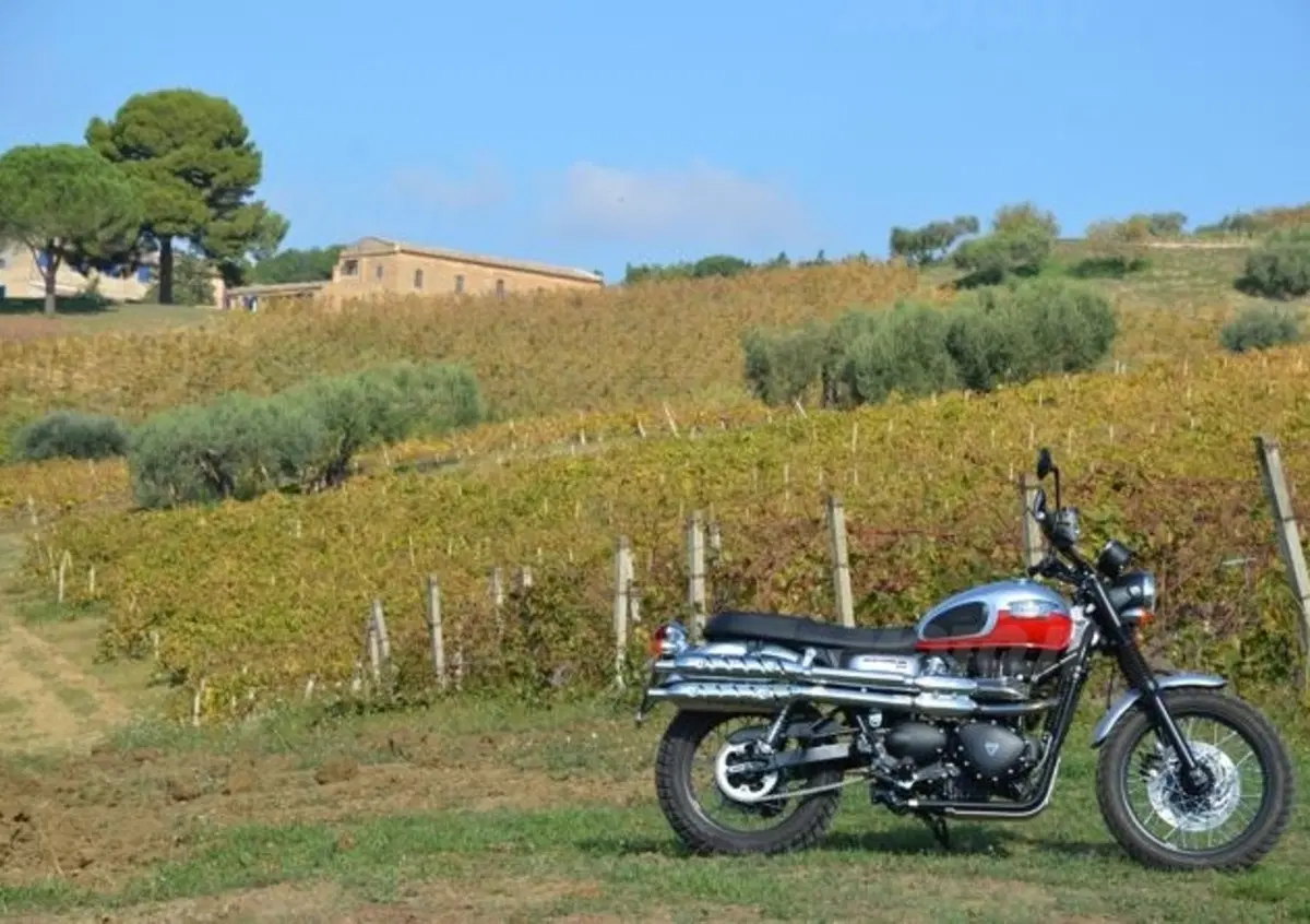Vendemmia in Sicilia nelle tenute Tasca d'Almerita. Un sogno da Gattopardo... ma in moto!