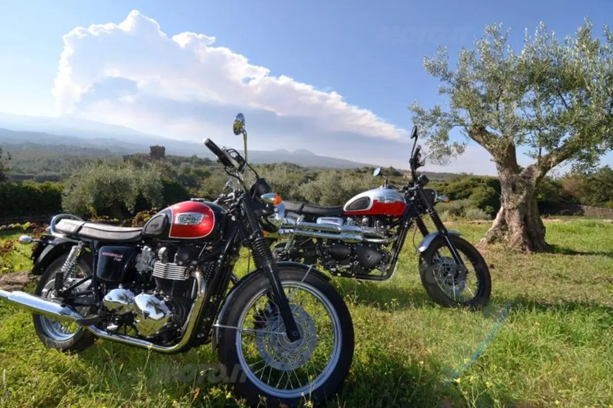 Vendemmia in Sicilia nelle tenute Tasca d'Almerita. Un sogno da Gattopardo... ma in moto! (2)