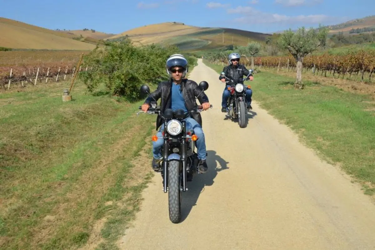 Vendemmia in Sicilia nelle tenute Tasca d'Almerita. Un sogno da Gattopardo... ma in moto! (6)
