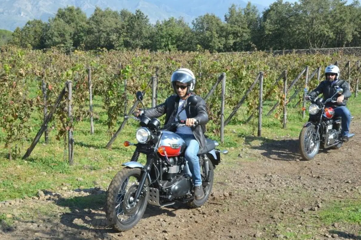 Vendemmia in Sicilia nelle tenute Tasca d'Almerita. Un sogno da Gattopardo... ma in moto! (32)