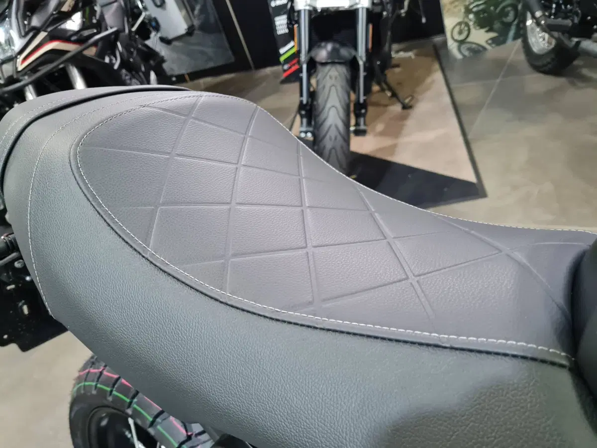Voge Trofeo 300AC (2021 - 26) (6)