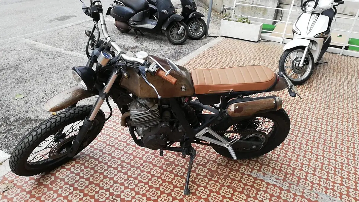 Honda Dominator Special (3)