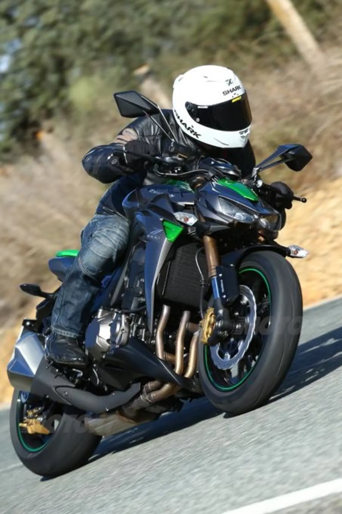 Kawasaki Z1000 2014  (4)