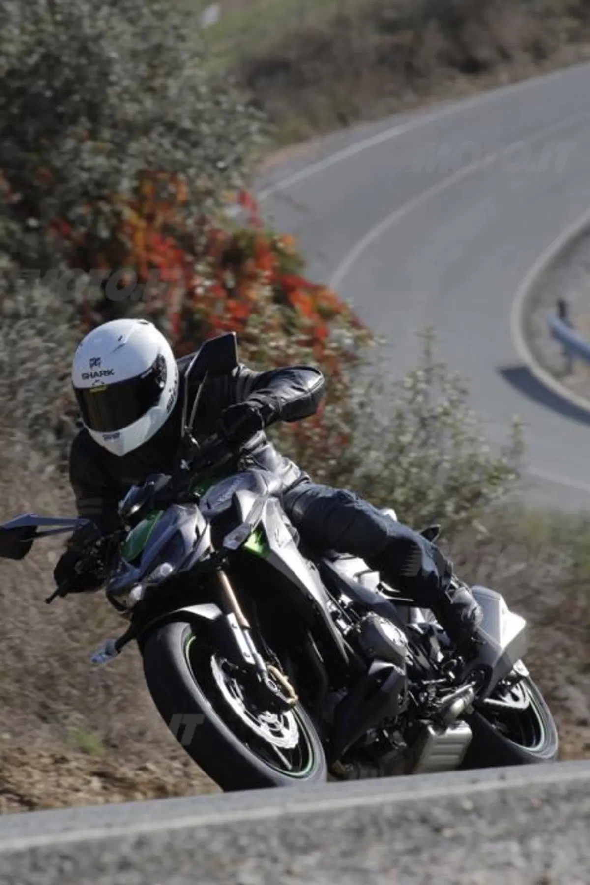 Kawasaki Z1000 2014  (6)