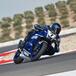 Yamaha lancia la R7 Cup. Superfinale con la SBK