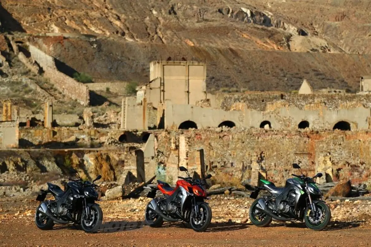 Kawasaki Z1000 2014  (16)
