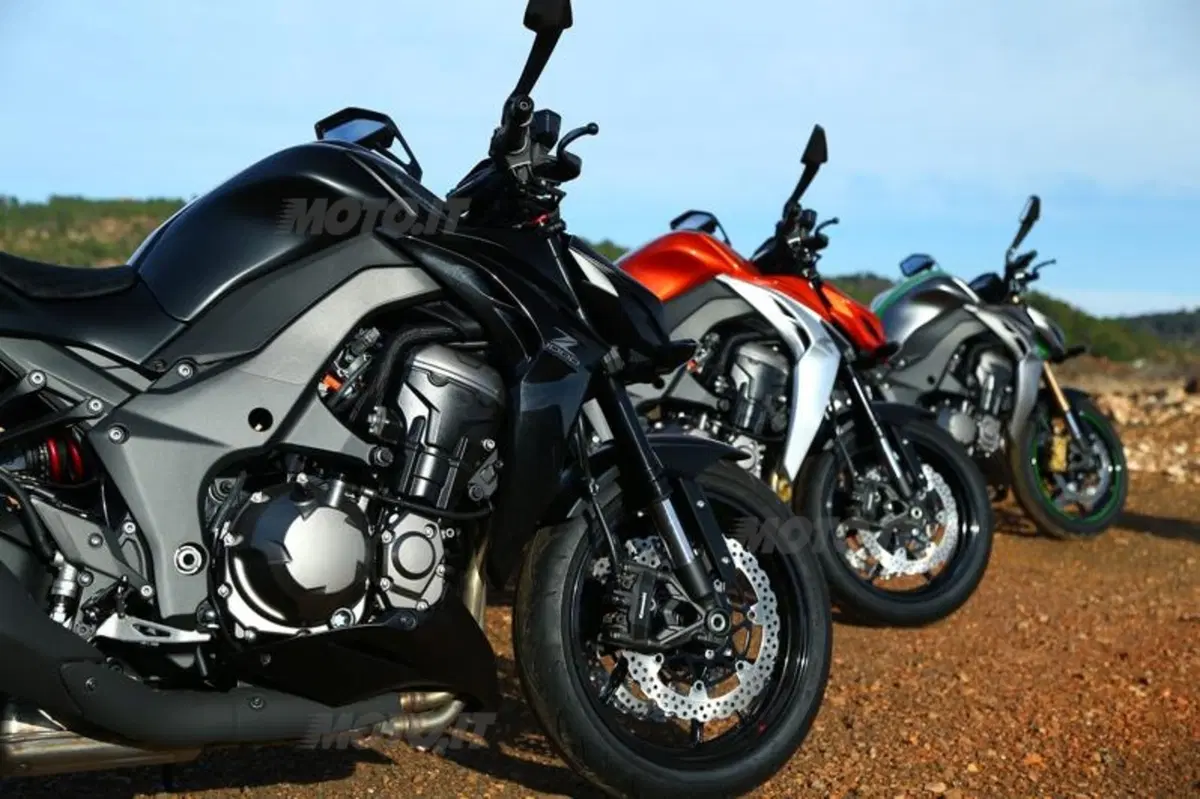 Kawasaki Z1000 2014  (17)