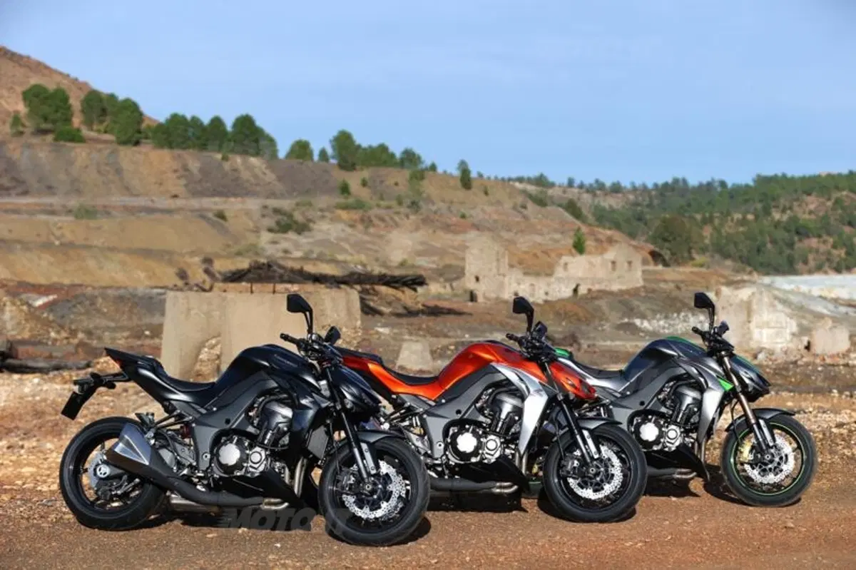 Kawasaki Z1000 2014  (22)
