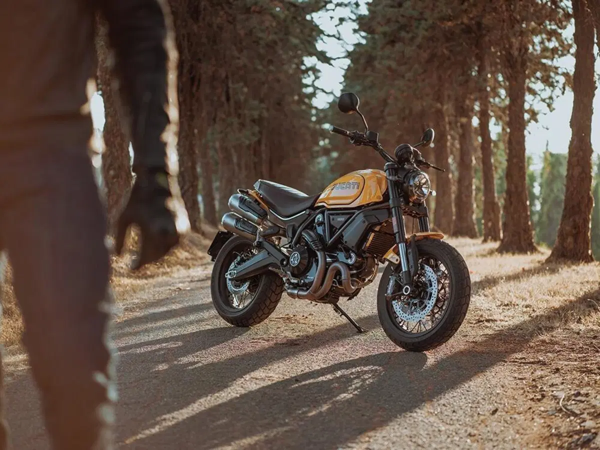 Ducati Scrambler 1100 Tribute Pro e Scrambler 800 Urban Motard 2022. Foto, dati e prezzi (23)