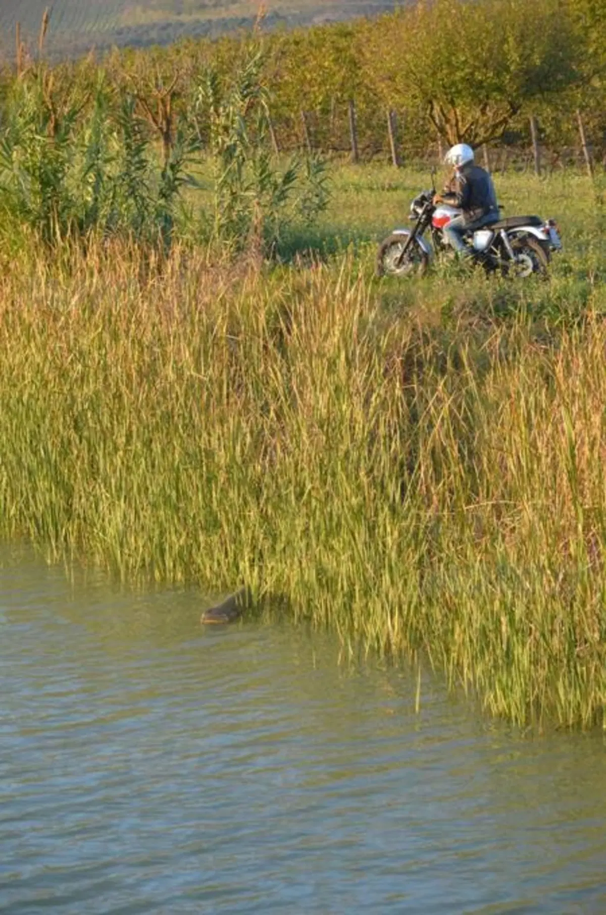 In viaggio con le Triumph T100 e Scrambler (7)
