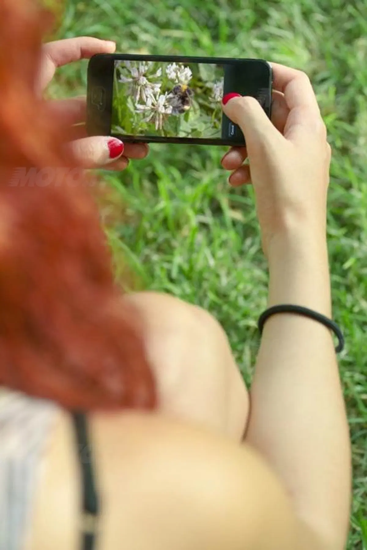 Phototeller, la app per creare fotolibri dallo smartphone (6)