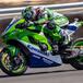 Kawasaki, la Superbike e la sua storia in due livree