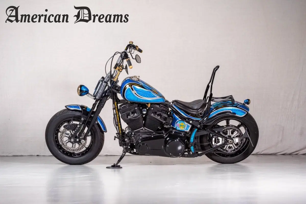 Harley-Davidson 1584 Cross Bones (2008 - 11) - FLSTSB (2)
