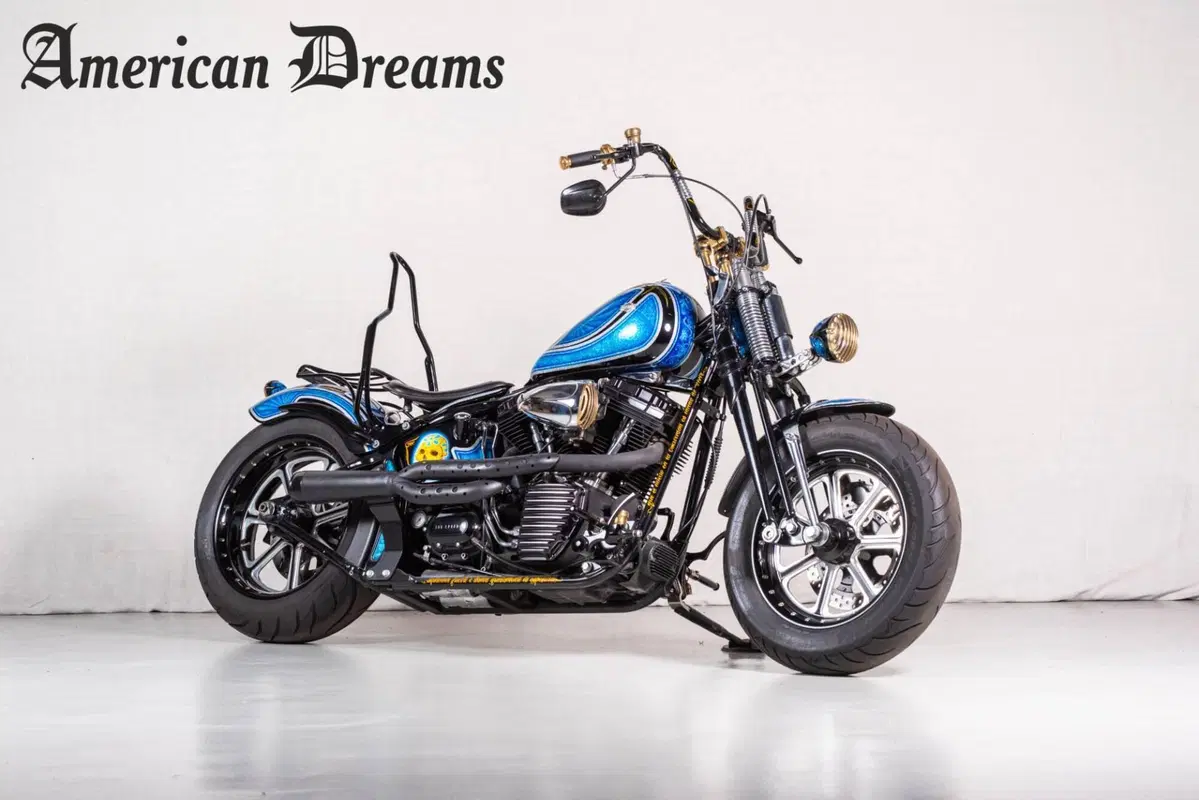 Harley-Davidson 1584 Cross Bones (2008 - 11) - FLSTSB (3)