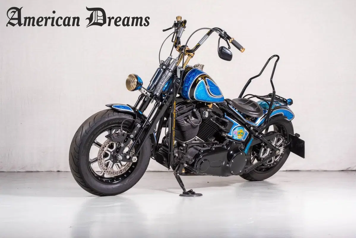 Harley-Davidson 1584 Cross Bones (2008 - 11) - FLSTSB (4)