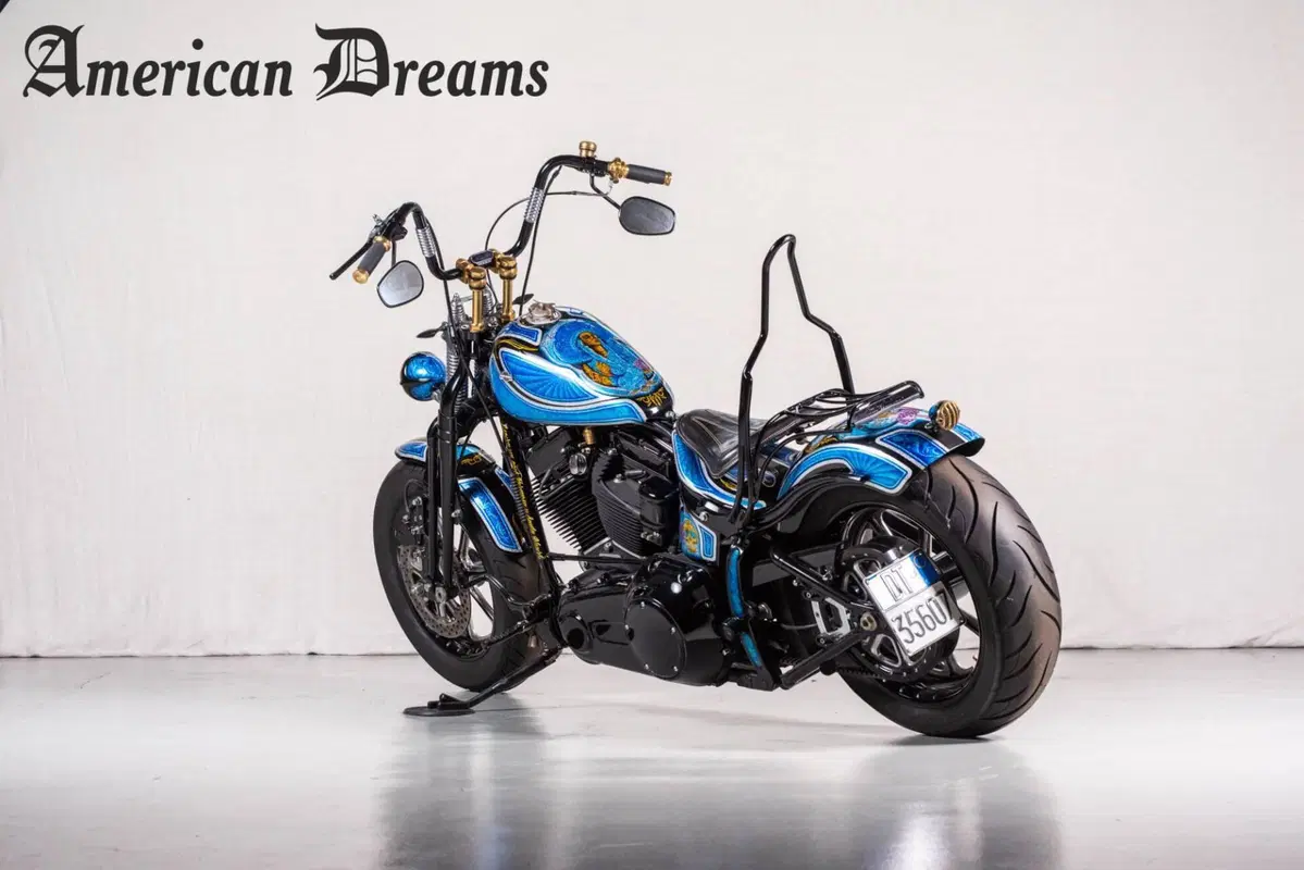 Harley-Davidson 1584 Cross Bones (2008 - 11) - FLSTSB (5)