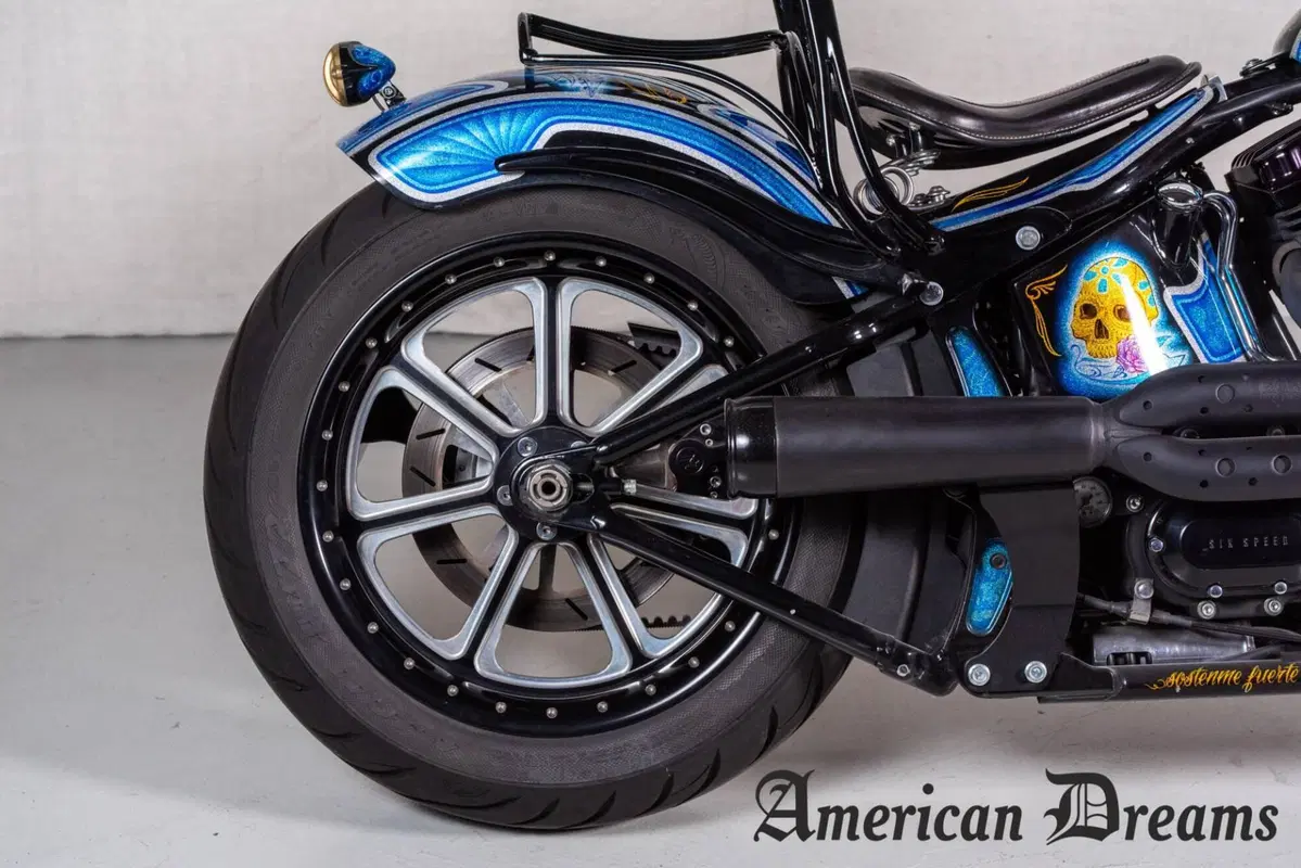 Harley-Davidson 1584 Cross Bones (2008 - 11) - FLSTSB (7)